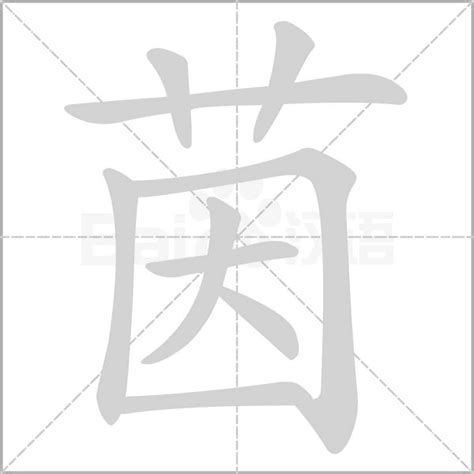 茵字意思|茵的意思